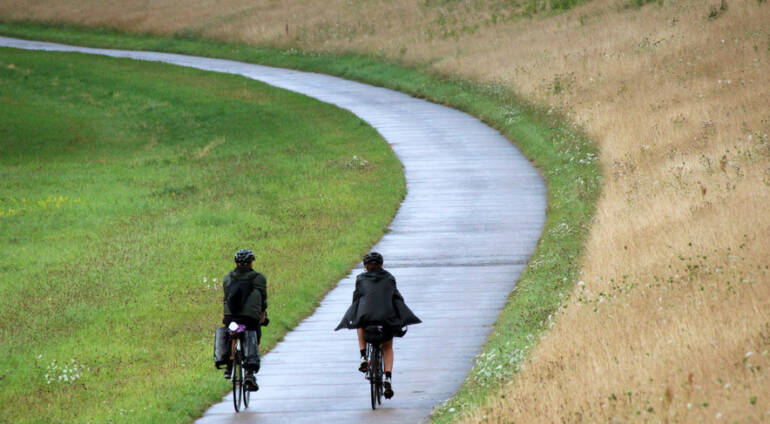 Der Elbe Radweg