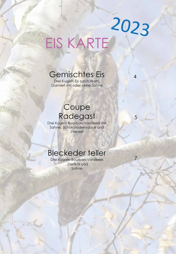 Menu Kaart ijs